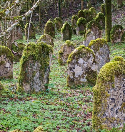 grave-stones-3321026_1920 grave-stones-3321026_1920