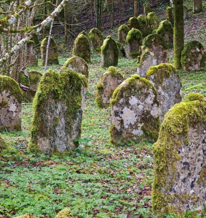 grave-stones-3321026_1920 grave-stones-3321026_1920